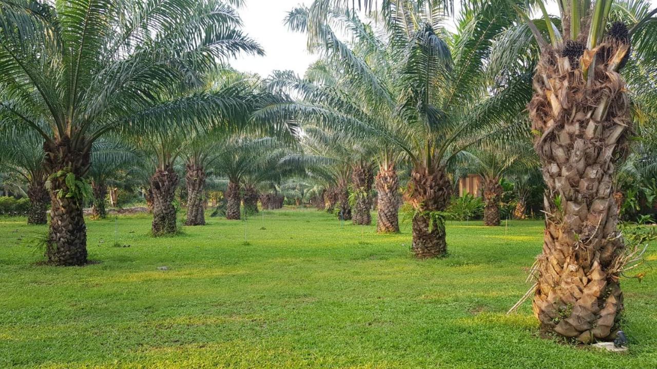 Palm Pran Resort Pran Buri Ngoại thất bức ảnh