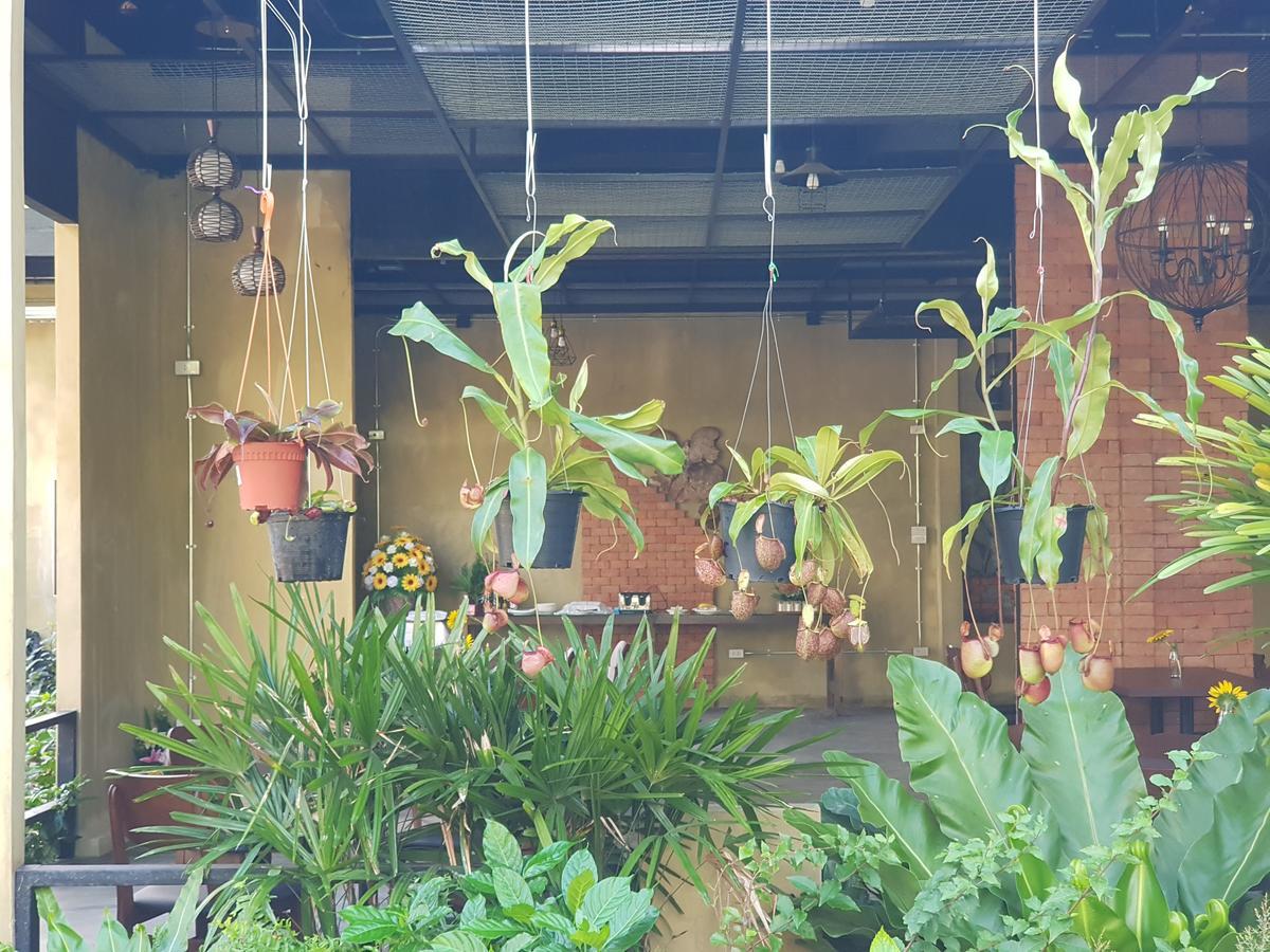 Palm Pran Resort Pran Buri Ngoại thất bức ảnh